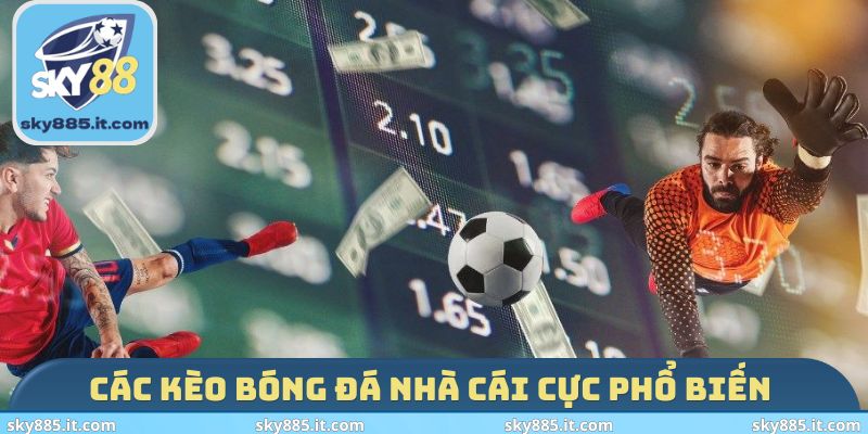 Các kèo bóng đá nhà cái cực phổ biến