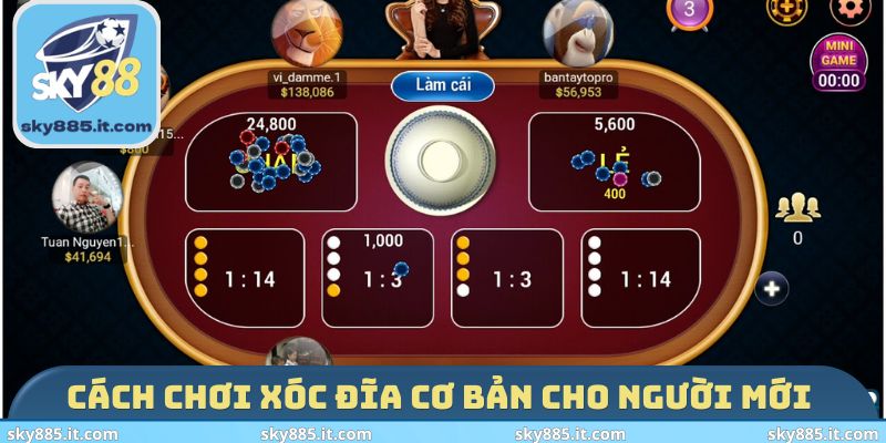 Cách chơi Xóc Đĩa cơ bản cho người mới