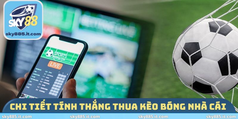 Chi tiết tính thắng thua kèo bóng nhà cái