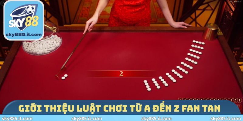 Giới thiệu luật chơi từ A đến Z Fan Tan 