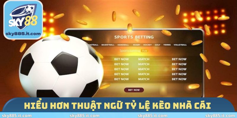 Hiểu hơn thuật ngữ tỷ lệ kèo nhà cái