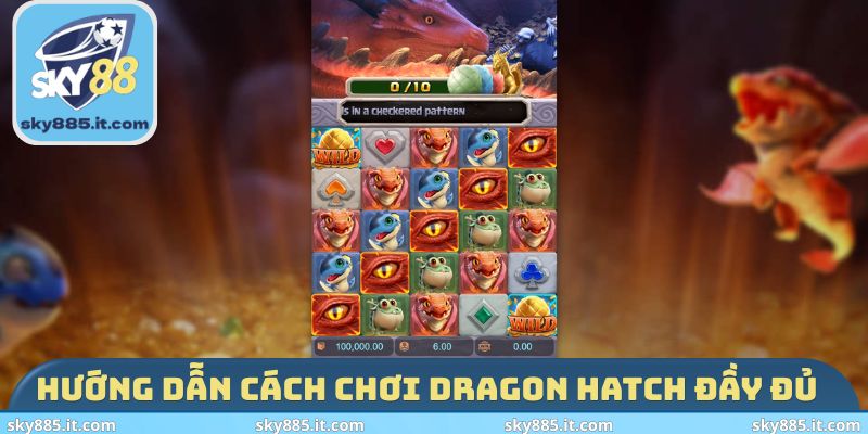Hướng dẫn cách chơi Dragon Hatch đầy đủ 
