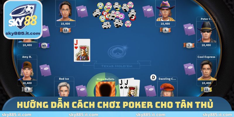 Hướng dẫn cách chơi Poker cho tân thủ