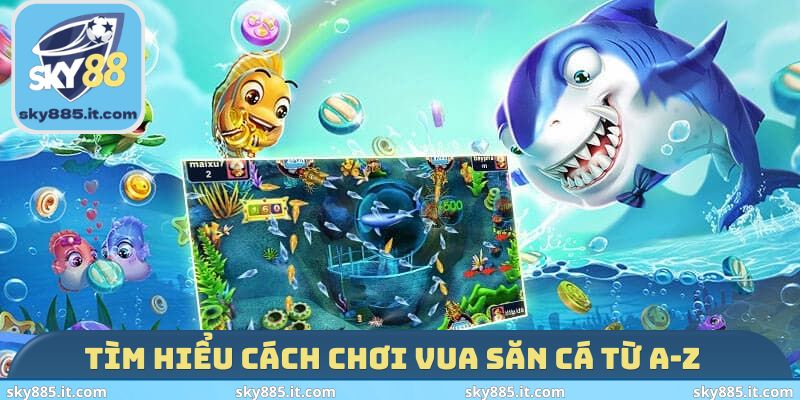 Tìm hiểu cách chơi Vua Săn Cá từ A-Z
