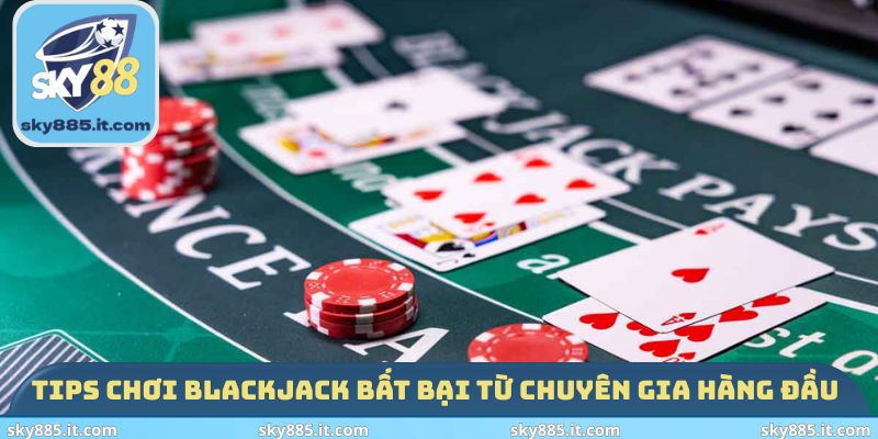 Tips chơi Blackjack bất bại từ chuyên gia hàng đầu